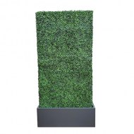 Boxwood Hedge Wall