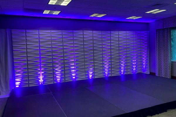 12' x 20' Stage with 3D Wall Panels & Uplighting
