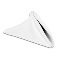 Napkin
