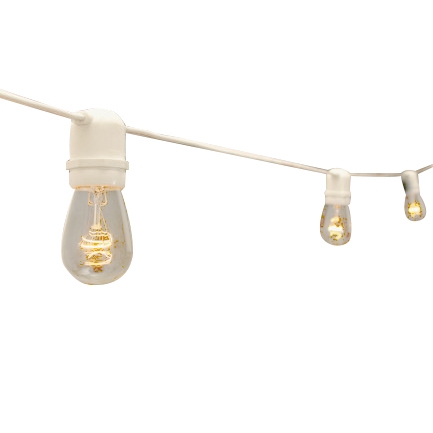 Market Light String 50' 