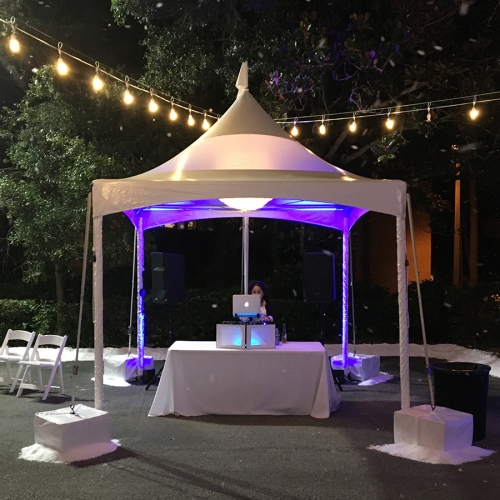 Marquee Tent: 10' x 10' Skylight