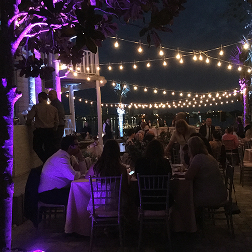 Lighting & Effects Lighting Market Light String