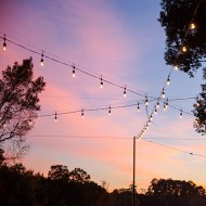 Market Lights