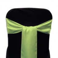 Linens/Sash/linSash_Satin_AppleGreen_w