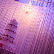 Cake Table Backdrop