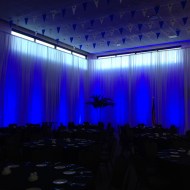 Drape: White Crinkle Taffeta 20' with uplighting