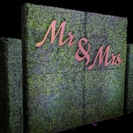 8' x 8' Hedge Wall with Mr & Mrs Sign & Uplighting