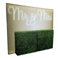 Visual Frame Lightbox: Gold Mr & Mrs with Hedge Wall