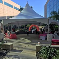 Hex Marquee Tent