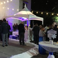 Marquee Tent: 10' x 10' Skylight
