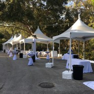 Marquee Tent: Skylight